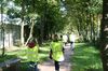 gal/Ville_Propre/_thb_OPERATION DECHETS LAMBRES 128.JPG